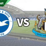 Brighton & Hove Albion vs Newcastle United