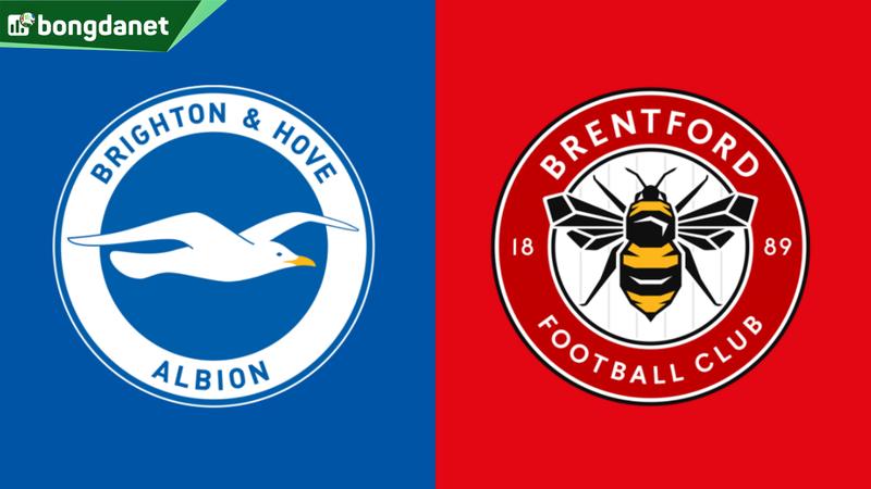 Nhận định trận đấu Brighton Hove Albion vs Brentford